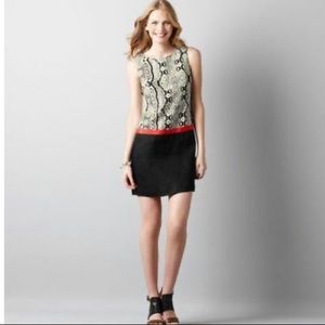 LOFT Snakeskin Colorblock Dress